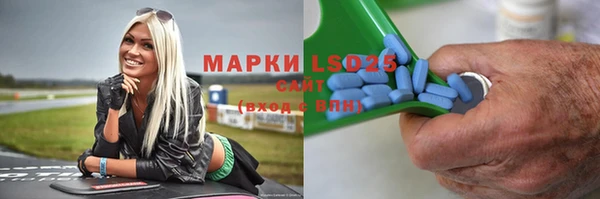 прущие грибы Нязепетровск