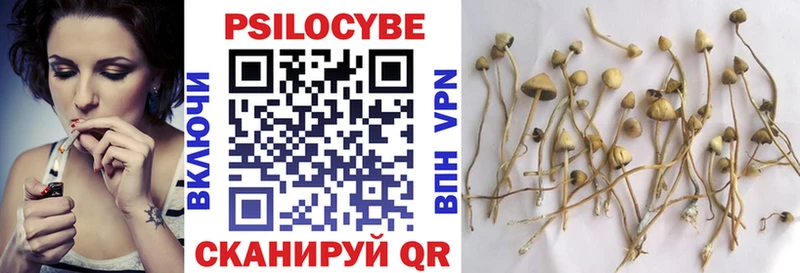 гидра ссылки  дарнет шоп  Устюжна  Галлюциногенные грибы Magic Shrooms 